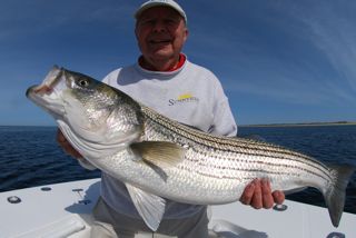The Stripers are Here! - May 18, 2012