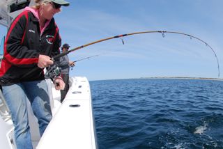 The Stripers are Here! - May 18, 2012