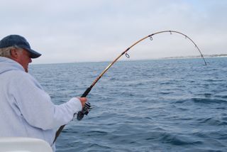 Memorial Day Striped Bass Fishing - May 28, 2012