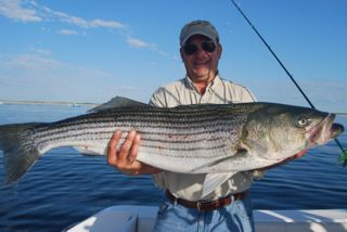 More Great Striped Bass Fishing! - July 10, 2012
