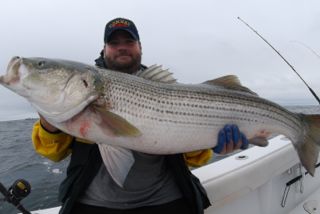 Lunker 47" Striper! - July 29, 2012
