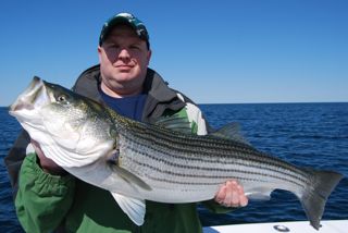 The Stripers are Here! - May 19, 2012