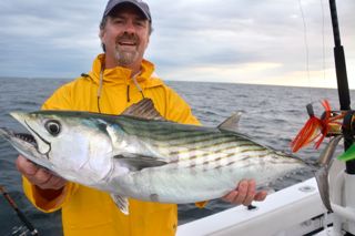Unexpected Guest on Striped Bass Fishing Charter - August 8, 2013