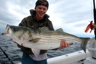Check Out These Big Stripers! - August 8, 2013