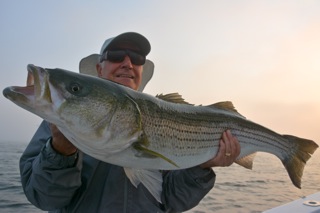 Great Striped Bass Fishing - August 22, 2013