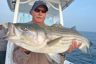 Great Striped Bass Fishing - August 22, 2013