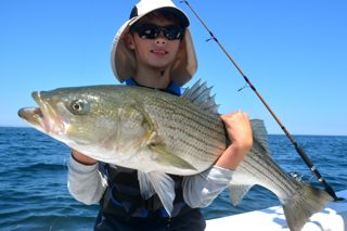 August Striped Bass Fishing Begins! - August 1, 2013