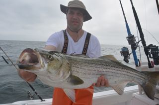 July Begins with Stars & Stripers! - July 1, 2013