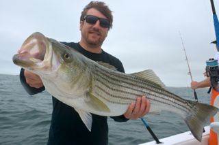July Begins with Stars & Stripers! - July 1, 2013