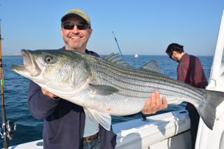 Light Tackle Striped Bass Action - May 31, 2013