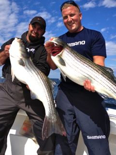 Late Summer Stripers! - September 8, 2013
