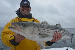 A June Shower Brings this Striped Bass "WOW"-er! - June 7, 2013