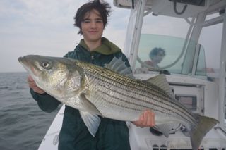 More Awesome Topwater Action - June 25, 2013