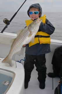 Fall Family Fun on Cape Cod - October 19, 2013