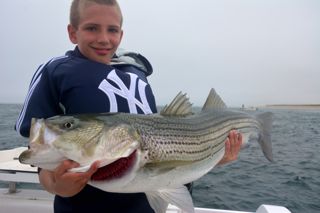 Gibbs Lures Light Up The Topwater Action! - June 27, 2013