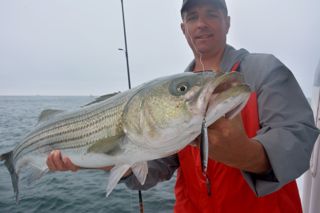 Gibbs Lures Light Up The Topwater Action! - June 27, 2013