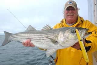 Memorial Day Weekend Striped Bass Fishing - May 25, 2013
