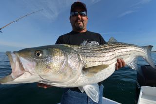 Wicked Fishah with a Nice Keeper - June 13, 2013