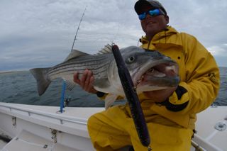 Captain JR Pulls in this Nice Bass on a Gibbs Lure - June 12, 2013