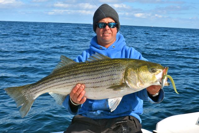 One More Bass on a RonZ! - October 29, 2013