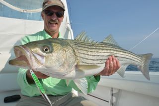 Light Tackle Striped Bass Fishing - May 30, 2013