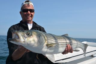 Light Tackle Striped Bass Fishing - May 30, 2013