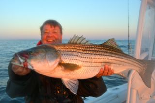 Striped Bass Fishing Remains Strong - October 2, 2013