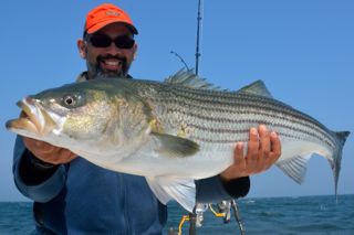 High Bass Activity on Combination Fishing Trip - July 19, 2013