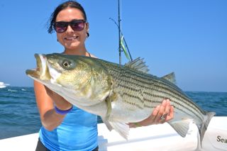 High Bass Activity on Combination Fishing Trip - July 19, 2013
