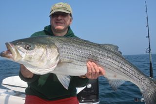 Cape Cod Weekend Stripers - July 20, 2013