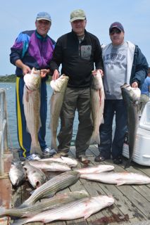 Back to the Dock with a Successful Catch! - June 22, 2013