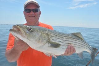 Striped Bass Fishing off of Provincetown - July 7, 2013