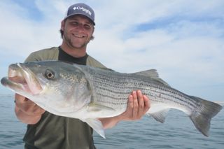 Striped Bass Fishing off of Provincetown - July 7, 2013