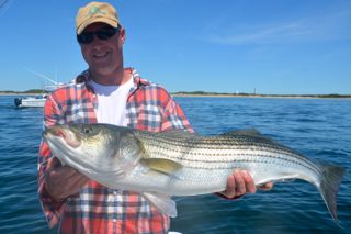 Sunday Afternoon Striper! - June 9, 2013
