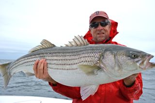 30-lb Striper! - October 6, 2013