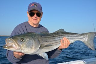 High Action Striped Bass Fishing Continues - June 1, 2013