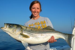 Reel Deal Striped Bass Fishing - August 21, 2013