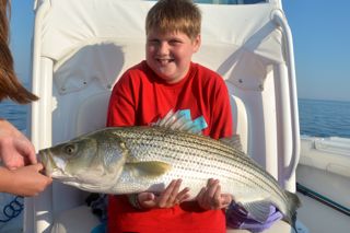 Reel Deal Striped Bass Fishing - August 21, 2013