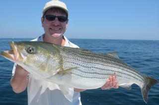 Reel Deal Striped Bass Fishing - August 21, 2013