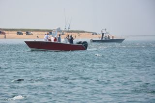 Reel Deal in the Topwater Blitz! - June 26, 2013