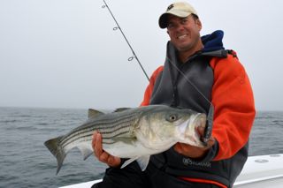 The Striped Bass are on the Outer Cape! - May 21, 2013