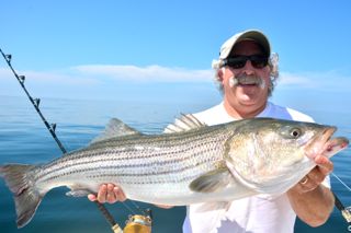 Keep Cool with Big Bass! - July 15, 2013