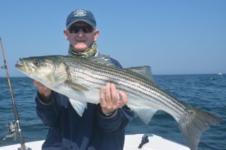 Striped Bass Blitz! - June 24, 2013