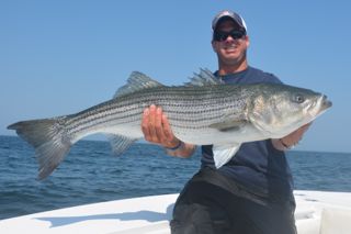 Striped Bass Blitz! - June 24, 2013