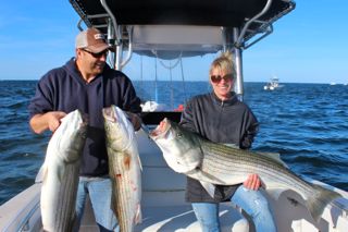 Enjoying Late August on Cape Cod - August 30, 2014