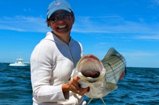 Enjoying Late August on Cape Cod - August 30, 2014