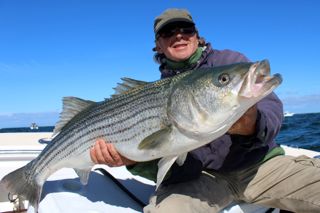 Awesome Cape Cod Fishing! - September 13, 2014
