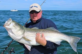 Awesome Cape Cod Fishing! - September 13, 2014
