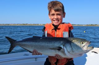 High Action Blue Fishing Fun - August 26, 2014