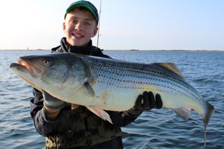 Cape Cod Fishing Guides - August 16, 2014